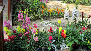 Garden, colorful, beautiful, flowers HD wallpaper