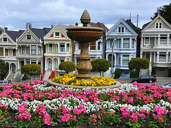 Houses w Flowers, cool HD wallpaper