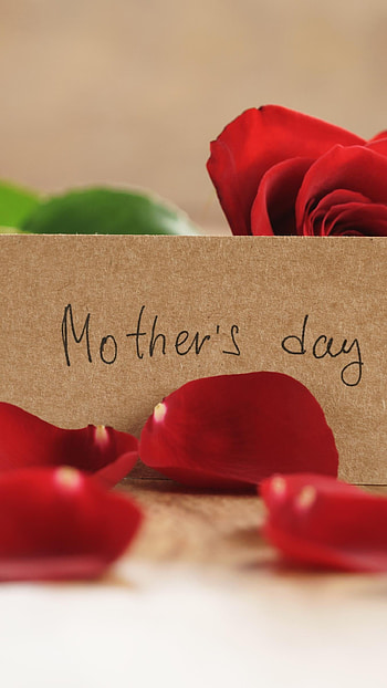 Mothers Day, Red Rose Petals HD phone wallpaper