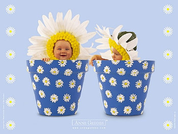 Baby flowers, anne geddes, babies, flowers, graphy HD wallpaper