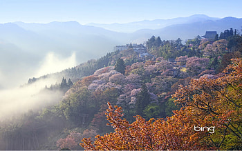 samurai japanese landscape and background HD wallpaper