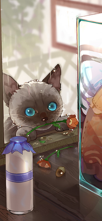 Blue eyed cat looking into a shop, cat, Anime, Original, anime cat HD phone wallpaper