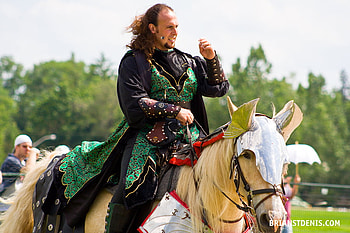 Joust is on, jousting, horses, white horses, animals, medieval, nature HD wallpaper