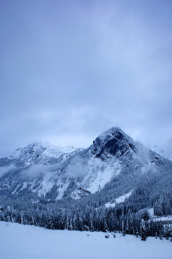 Winter, Nature, Trees, Mountains, Clouds, Snow HD phone wallpaper