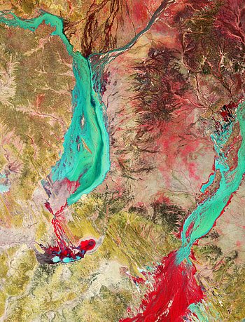 Abstract, Rivers, View From Above, Surface, Relief HD phone wallpaper