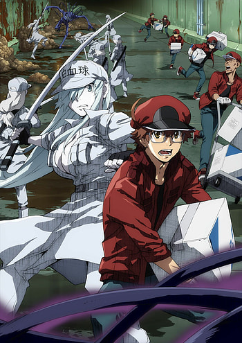 Cells at Work! Code Black, , Hataraku Saibou Black, Anime HD phone wallpaper