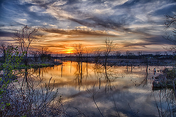 Nature, Trees, Sunset, Sun, Clouds, Spring, Overflow, Spill HD wallpaper