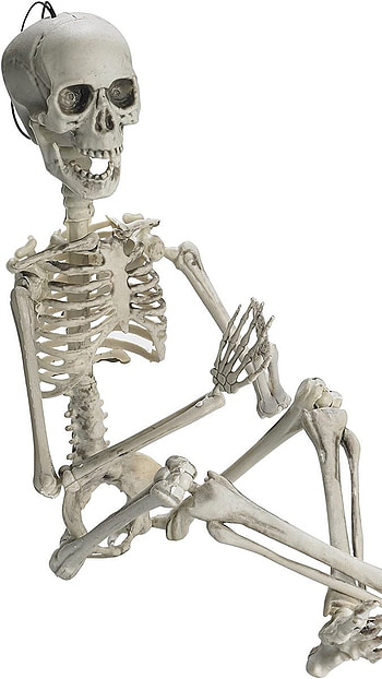 Skeleton, Human Body HD phone wallpaper