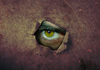 Miscellanea, Miscellaneous, Eye, Peep, Slit, Hole, Pry HD wallpaper