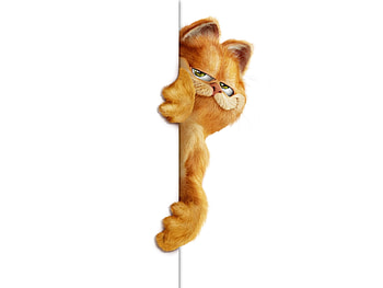 Peeping out, Garfield HD wallpaper