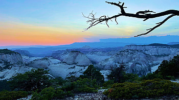 Branch on West Rim, Zion National Park, Utah, trees, colors, sky, rocks, usa HD wallpaper