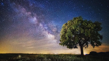 Make a Wish - Toledo, Spain, landscape, milky way, stars, evening, tree HD wallpaper