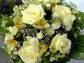 Flowers, Roses, Lilies, Drops, Beads, Registration, Typography, Bouquet HD wallpaper