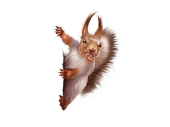 an evil squirrel !, cartoon, fun, fantasy, , an evil squirrel, rodent HD wallpaper