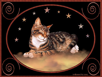 So Sleepy 1600x1200, Animals, Tabbies, Tabby, Cat, Cats HD wallpaper