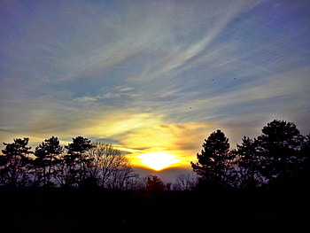 Mirror View, trees, sky, sun, sunset HD wallpaper
