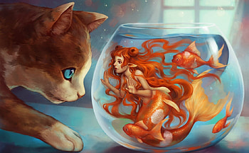 Cat And Mermaid, mermaid, fantasy, cat, fish, fish bowl HD wallpaper