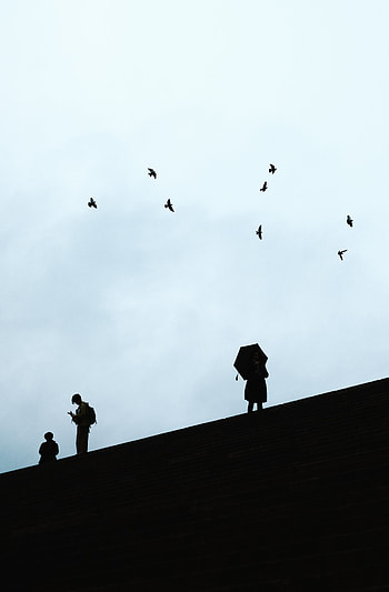 People, Birds, Dark, Miscellanea, Miscellaneous, Silhouettes HD phone wallpaper