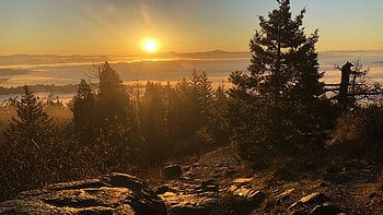 Spencer Butte - Oregon, misty, morning, sunrise, trees, landscape, usa HD wallpaper