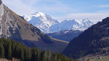 Landscape View Of Snow Covered Mountains Green Spruce Trees Slope Blue Sky Background Mountains HD wallpaper