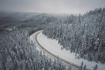 Winter, snowfrost, trees, forest, nature, road, aerial view HD wallpaper