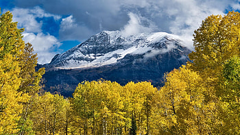 Crested Butte, Colorado, leaves, fall, clouds, autumn, landscape, colors, trees, sky, usa HD wallpaper