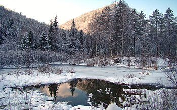 Landscape, Winter, Trees, Snow, Fir-Trees, Lakes HD wallpaper