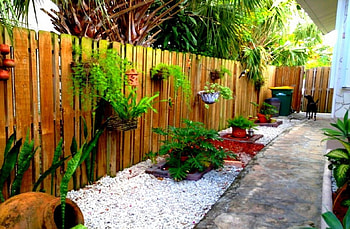 front Door, dog, plants, green, house HD wallpaper