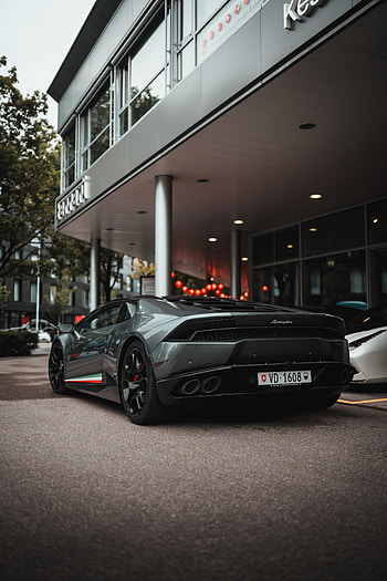 Sports, Lamborghini, Cars, Car, Sports Car, Back View, Rear View HD phone wallpaper