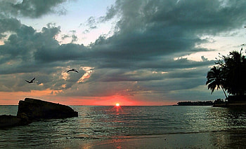 Sunset, winter, paradise, sand, sun HD wallpaper