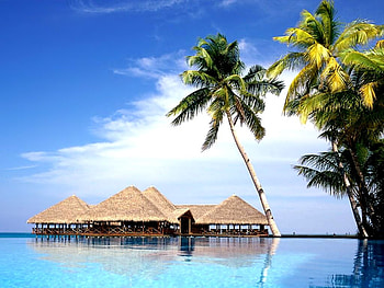 Beach beauty, Coconut trees, Island, Resorts, Sea HD wallpaper