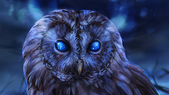 Bared Owl, owl, birds, artist, artwork, digital-art, deviantart HD wallpaper