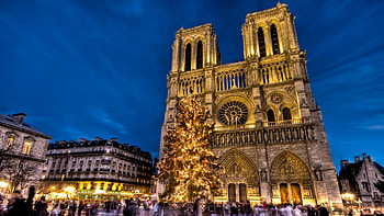 Christmas tree, Notre-Dame Cathedral HD wallpaper
