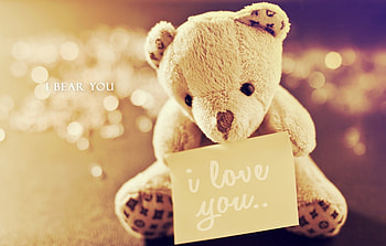 Honey, it's our teddy bear, tenderness, words, cute, soft, i love, tender, teddy bear, note, love, sweetness, adorable HD wallpaper