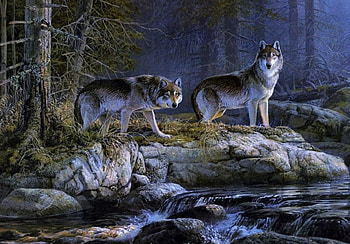 'The hunters'......, wolves, animals, trees, forest, stream HD wallpaper