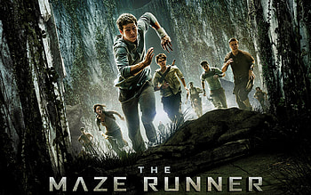 The Maze Runner , movies, the-maze-runner HD wallpaper