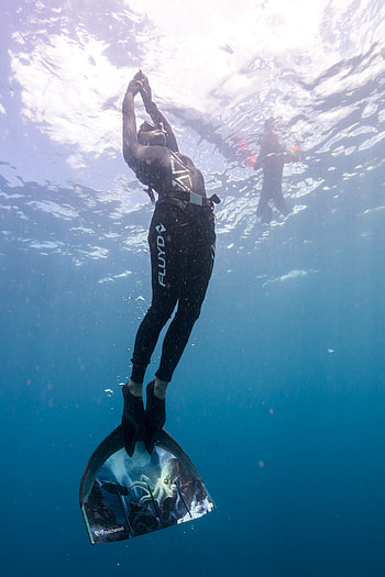 Successful PADI diver, Instructor interviews, Love for diving, PADI Pros HD phone wallpaper