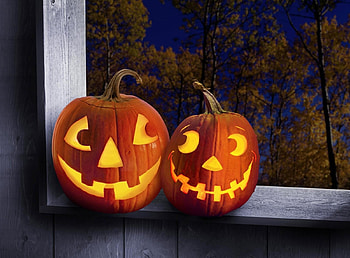 Holidays, Trees, Halloween, Pumpkin, Couple, Pair, Holiday, Window HD wallpaper