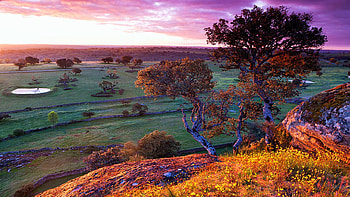 View Of Dehesa Habitat, Salamanca, Spain, landscape, trees, clouds, sky, sunset HD wallpaper