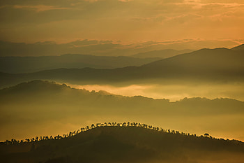 Nature, Trees, Sky, Mountains, Clouds, Fog, Hills HD wallpaper