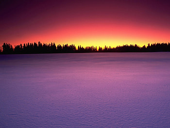 Landscape, Winter, Trees, Sunset, Snow HD wallpaper