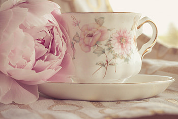 ღ, still life, tea, petals, pink flower, nature, flowers, cup HD wallpaper