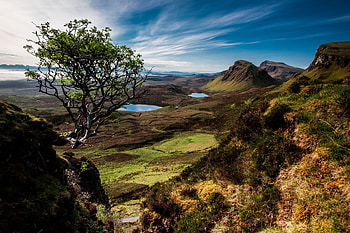 Nature, Trees, Mountains, Lake, Scotland HD wallpaper