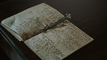 Plant, Miscellanea, Miscellaneous, Notebook, Recordings, Record, Herbarium HD wallpaper