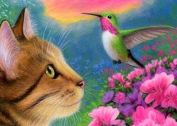Tabby Cat & Hummingbird, birds, attractions in dreams, cats, garden, cute, paintings, spring, love four seasons, animals, hummingbird, draw and paint, flowers HD wallpaper