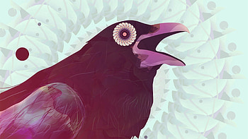 Vector, Bird, Beak, Crow HD wallpaper