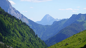 Green Trees Bushes Slopes Mountains Grass Field Stones Under Blue Sky During Daytime Nature HD wallpaper