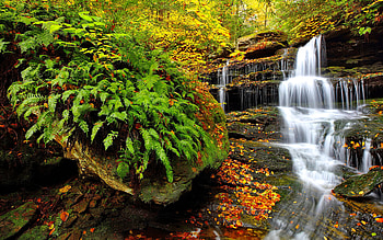 Forest water cascades, stream, fall, USA, beautiful, park, leaves, waterfall, cascades, trees, autumn, forest, foliage HD wallpaper