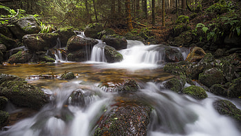 Waterfall, nature, forest, water HD wallpaper
