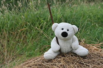 Grass, Miscellanea, Miscellaneous, Bear, Toy, Stroll, Mood, Moods, Hay HD wallpaper